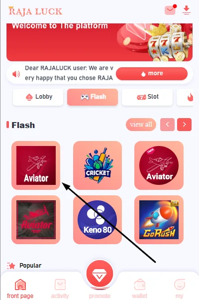  Raja Luck Aviator game